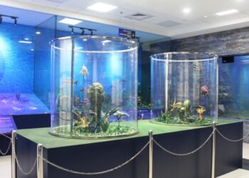 ભાવનગરની ભાગોળે ૨૦ એકરમાં અને રૂા. ૧૦૦ કરોડના ખર્ચે આકાર પામેલ અનોખું ’રિજિયોનલ સાયન્સ સેન્ટર’