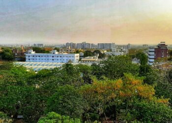 વૃક્ષ વાવો હરિયાળી લાવો