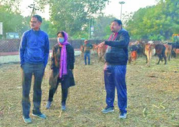 જાહેરમાં કચરો ફેંકતા ચોક્કસ તત્વોને પકડી પાડવા સીસીટીવી કેમેરા મૂકો : ઇન્ચાર્જ કમિશનરનું સૂચન