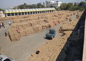 ભાવનગર માર્કેટિંગ યાર્ડ ડુંગળીથી છલકાયુ એકજ દિવસમા બે લાખ બોરીની આવક