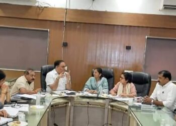 કંસારા સજીવીકરણ પ્રોજેક્ટમાં ગતી લાવવા તંત્ર સાથે શાસકોની મસલત