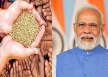 બીપીને કંટ્રોલમાં રાખે છે, લીલા મરચાની પેસ્ટ, સ્વાદ પણ એવો કે ભુલી નહીં શકો….