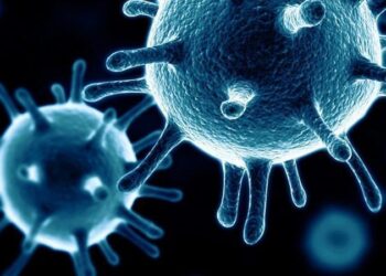 દેશમાં કોરોનાની સાથે વધુ પાંચ સંક્રમણની અસર હોવાની ફેલાવો હોવાની ICMRની પુષ્ટી