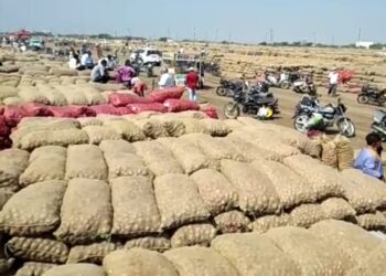 મહુવામાં નાફેડે ડુંગળી ખરીદવા બે દિવસથી કેન્દ્ર ખોલ્યું પરંતુ બજારભાવમાં હજુ કોઇ સુધારો નહીં, આજે ૬૦ હજાર ગુણી ડુંગળીનું વેચાણ- ભાવ માત્ર ૧૪૦ થી ૧૯૦ ઉપજ્યા