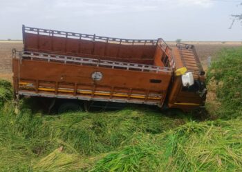 વલભીપુર નજીક કડબ ભરેલો ટેમ્પો પલટી જતા તેમાં સવાર 8 લોકોના મોત,  6ને ગંભીર ઇજા  ભોગગ્રસ્ત તમામ લોકો ભડભીડ ગામના વતની