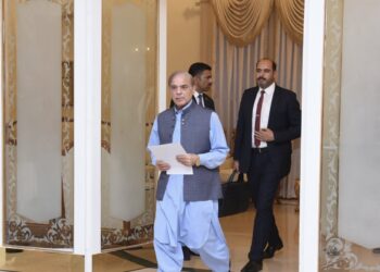 પાકિસ્તાન સરકારના અધિકૃત ટ્વિટર એકાઉન્ટ પર ભારતે લગાવી રોક