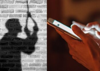 ચેટબોટ ‘એલિઝા’ સાથે વાત કરીને આત્મહત્યા કરી