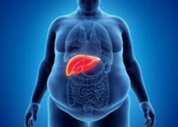 Fast Food: આ વસ્તુઓ તમારા લીવરને વૃદ્ધ કરી રહી છે, આજથી જ તેનું સેવન બંધ કરો