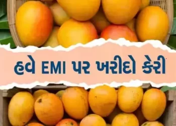 હવે ઈએમઆઈ પર મળશે કેરી