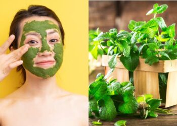 ફુદીનો ઉનાળામાં ત્વચાને ઠંડક આપે છે, બસ આ રીતે બનાવો ફેસ માસ્ક