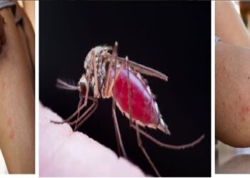 Today’s Horoscope: આજે કોઈ પણ મુદ્દા પર ઉતાવળમાં નિર્ણય ન લો, આ 4 રાશિઓને થઈ શકે છે મોટું નુકસાન; તમારી જન્માક્ષર જાણો