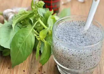 તુલસીના પાન જ નહીં, તેના બીજ પણ આયુર્વેદનું વરદાન છે, બિમારીઓ પર લાગે છે ફુલ સ્ટોપ…