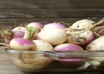 Healthy Snack: હાર્ટ-લિવર માટે હેલ્ધી ડાયટ છે રોસ્ટેડ સલગમની છાલની ચિપ્સ, આ રહી રેસીપી