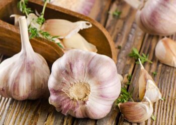શું તમે પણ વધારે પડતું લસણ ખાઓ છો? આ નુકસાન માટે તૈયાર રહો
