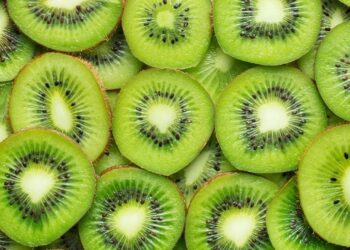 કીવી ફ્રૂટના અપાર ફાયદા જાણીને તમે પણ કહેશો- ‘અદભૂત’, જાણો દરરોજ કેટલું ખાવું આ સ્વાદિષ્ટ ફળ
