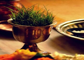 વાસ્તુશાસ્ત્ર: આ છોડને ઘરમાં લગાવવાથી આકર્ષિત થાય છે ધન, માત્ર ધ્યાનમાં રાખો આ નિયમો