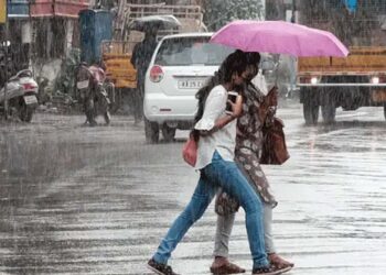 ગુજરાતમાં વરસાદે બઘડાટી બોલાવી,