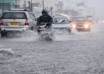 મંગળવારે 154 તાલુકામાં  થઈ મેઘમહેર