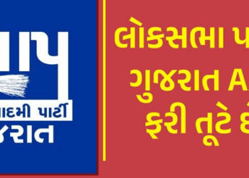 આપ કેટલાક આગેવાનો કાર્યકરો સાથે કરશે કેસરિયો