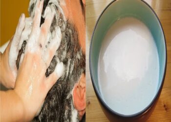 Homemade Shampoo: કોકોનટ મિલ્ક શેમ્પૂ ઘરે જ બનાવો, વાળની ​​દરેક સમસ્યા દૂર થશે..