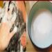 Homemade Shampoo: કોકોનટ મિલ્ક શેમ્પૂ ઘરે જ બનાવો, વાળની ​​દરેક સમસ્યા દૂર થશે..