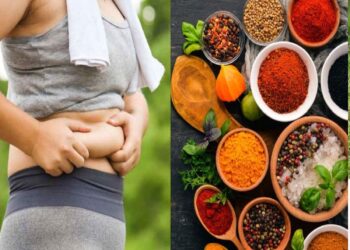 Weight Loss Spices: આ મસાલા ખાવાથી ઘટાડી શકાય છે વજન, ફટાફટ નોટ કરી લો આ 4 નામ…