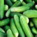Cucumber Side Effects:શું તમારે આ સમયે કાકડી બિલકુલ ન ખાવી જોઈએ? લાભને બદલે નુકસાનની ઉજવણી થશે