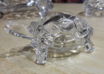 ઘરમાં કાચબો રાખવાથી માતા લક્ષ્મી થાય છે પ્રસન્ન, જાણો મહત્ત્વ અને વાસ્તુના નિયમો