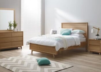 વાસ્તુ શાસ્ત્ર: જો ઘરની દીવાલો આવી હશે તો આવશે ઘણી બધી સુખ-સમૃદ્ધિ