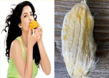 Mango Kernels Benefits: કેરી ખાધા પછી તમે તેની ગોઠલી પણ ફેંકી દો છો? જાણી લો તેના ફાયદા….