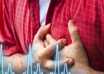 Heart Attack Risk: આ ખરાબ આદતોને કારણે આવે છે હાર્ટ એટેક, આજથી જ દુર રહો….