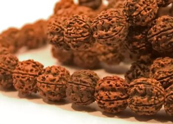 એકાગ્રતા વધારવાથી લઈને પરેશાનીઓને દૂર રાખે છે રૂદ્રાક્ષ, જાણો 1, 2, 4 મુખી રુદ્રાક્ષના ફાયદા