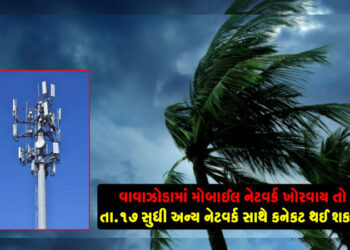 વાવાઝોડામાં મોબાઈલ નેટવર્ક ખોરવાય તો તા.17 સુધી અન્ય નેટવર્ક સાથે કનેકટ થઈ શકાશે