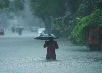 રાજકોટ, દ્વારકા, ભાવનગર અને વલસાડમાં રેડ એલર્ટ : ભારેથી અતિભારે વરસાદની આગાહી