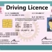 ડુપ્લીકેટ ડ્રાઈવિંગ લાયસન્સની ફી 100ટકા વધારી દેવાઈ