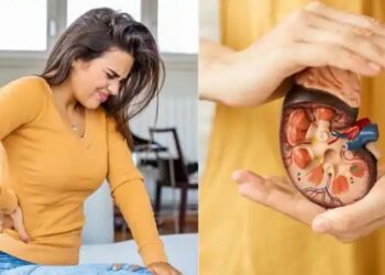 કિડની સંપૂર્ણપણે નુકસાન થાય તે પહેલાં આપે છે આ સંકેતો! જાણો માહિતી