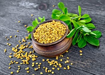 માત્ર તેલ જ નહીં, વાળ માટે આ 3 રીતે કરો મેથીનો ઉપયોગ, જાણો ક્યારે અને કેવી રીતે ઉપયોગ કરવો