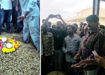રાજકોટ માર્કેટિંગ યાર્ડમાં મગફળીની આવક ધમધમી: જાણો શું છે પ્રતિ મણનાં ભાવ