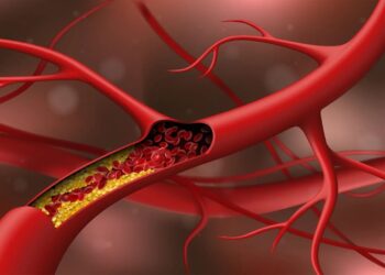 રાખડીની થાળીમાં રાખો આ 5 વસ્તુઓ, ભાઈ-બહેનના સંબંધો બનશે મજબૂત, જાણો તેનું મહત્ત્વ