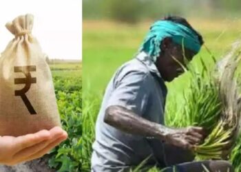 પીએમ કિસાન યોજનામાં મનરેગામાં 33 લાખ બોગસ લાભાર્થી પકડાયા
