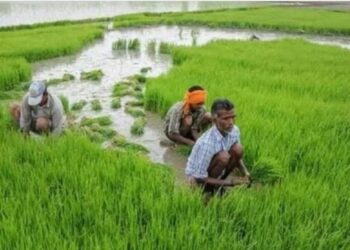 મોસંબી ખાવાથી મજબૂત થશે વાળ અને ચમકશે ત્વચા, જાણો તેના કેટલા છે ફાયદા?