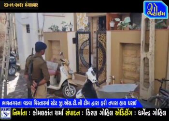 સ્ટેટ GSTની ટીમ દ્વારા ભાવનગરના વડવા વિસ્તારમાં ફરી તપાસ હાથ ધરાઈ