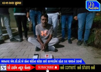 ભાવનગર LCBએ સોના-ચાંદીના ઘરેણાં સાથે કારચાલકને ઝડપી લીધો