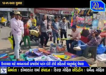 ઉત્તરાયણ માટે ભાવનગરની બજારોમાં પતંગ દોરી ટોપી સહિતની વસ્તુનું વેચાણ