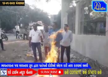 ભાવનગરના જય માળનાથ ગ્રુપ દ્વારા પતંગની દોરી એકત્ર કરી નાશ કરાયો