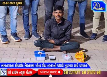 ભાવનગરના ઘોઘારોડ વિસ્તારમાં રહેતા રીઢા તસ્કરની ચોરાઉ મુદ્દામાલ સાથે ધરપકડ