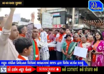 રાહુલ ગાંધીના નિવેદનના વિરોધમાં ભાવનગરમાં ભાજપ દ્વારા વિરોધ પ્રદર્શન કરાયું