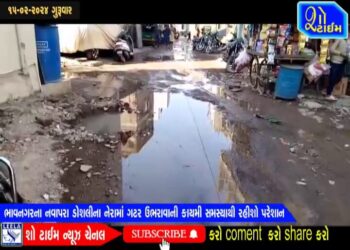 ભાવનગરમાં નવાપરા ડોશલીના નેરામાં ગટર ઉભરાવાની સમસ્યાથી રહીશો પરેશાન