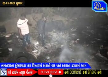ભાવનગરના કુંભારવાડા ખાર વિસ્તારમાં કાંટાની વાડ અને કચરાના ઢગલામાં આગ