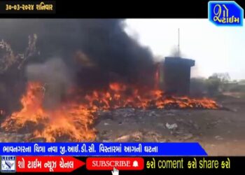 ભાવનગરના ચિત્રા નવા GIDC વિસ્તારમાં આગની ઘટના